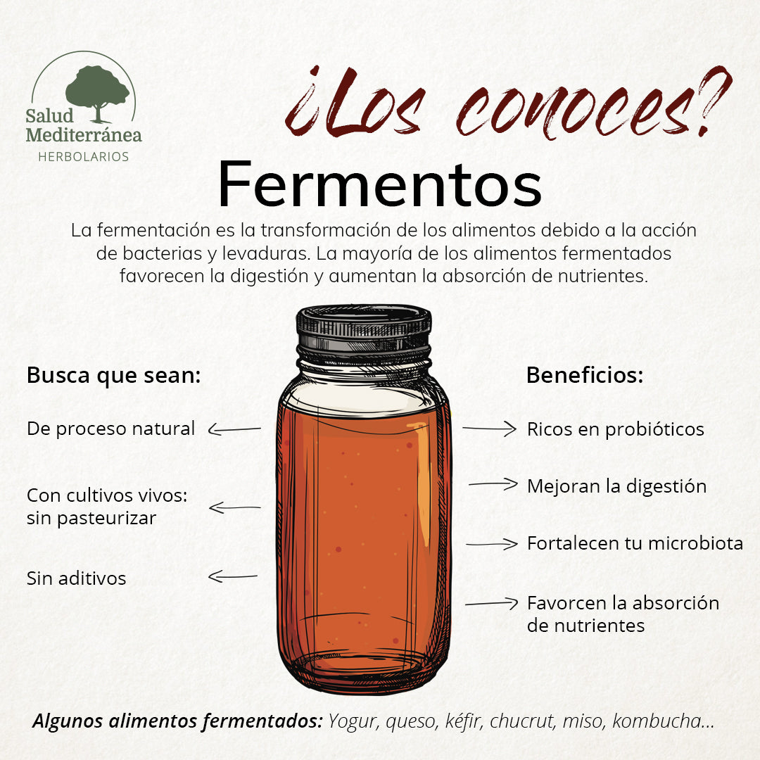 Cómo añadir fermentos a tu dieta