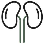 Bienestar Renal y Urinario