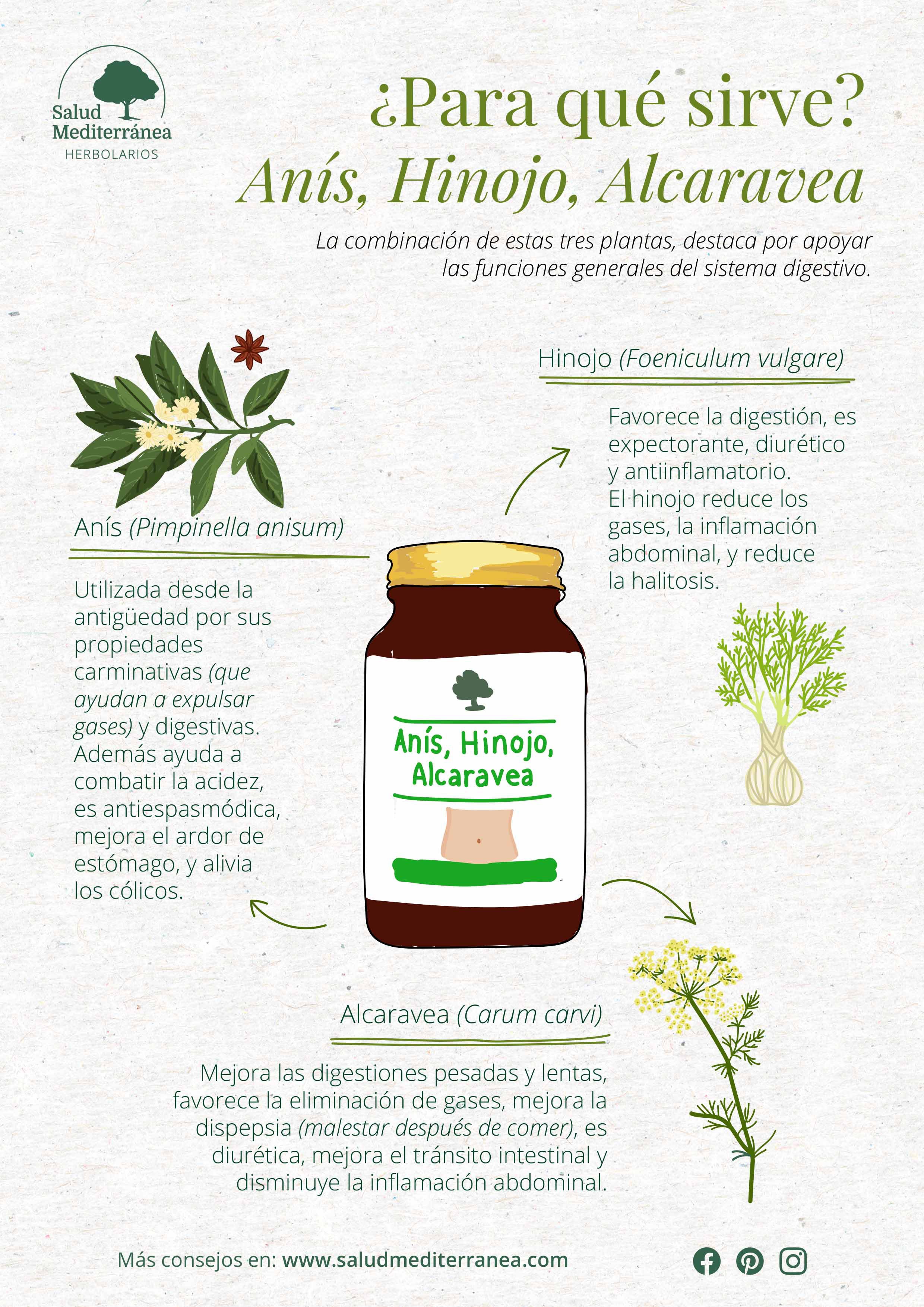 Beneficios Anis, Hinojo & Alcaravea Estandarizado - 100 Capsulas. Arbol Verde