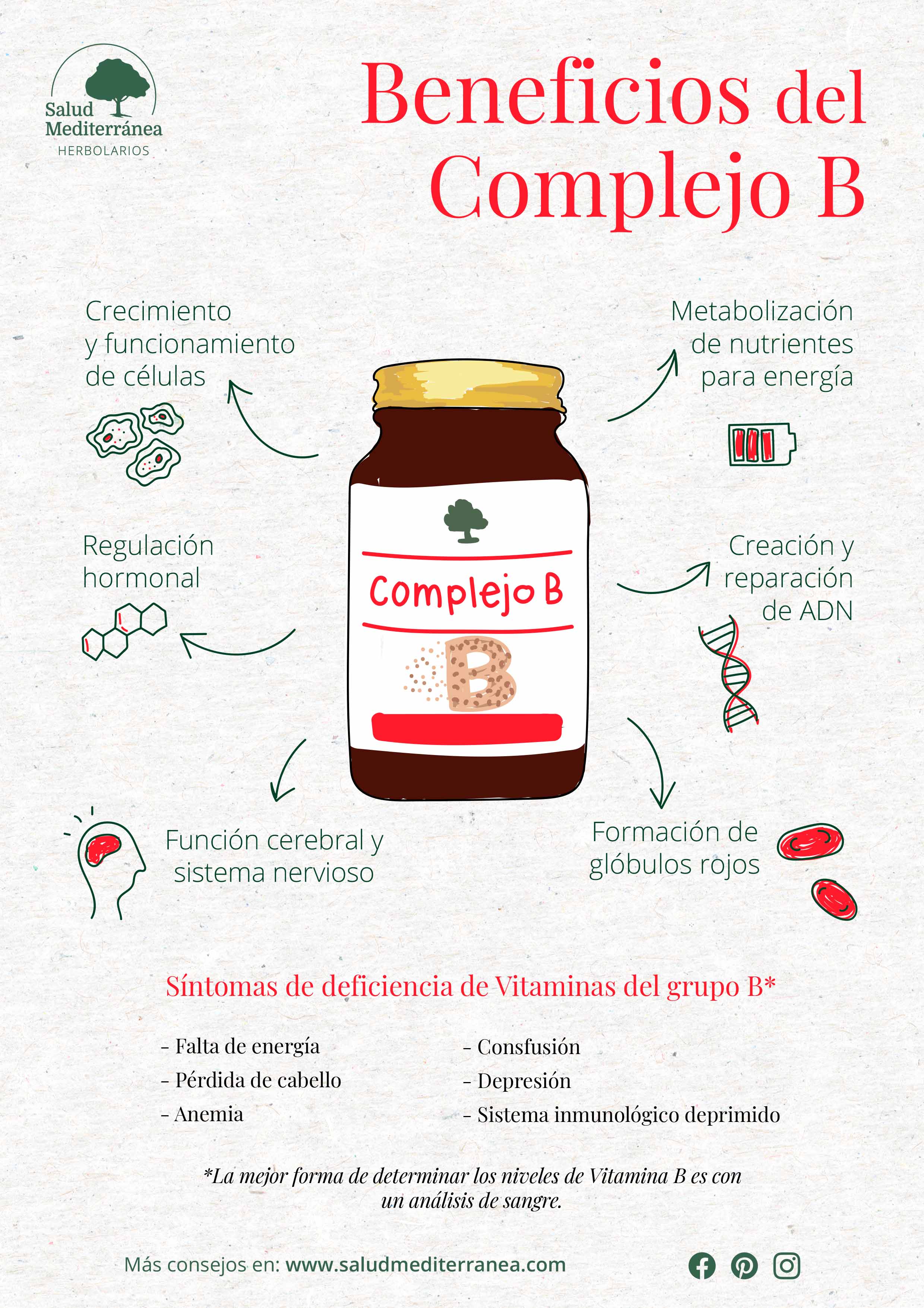Beneficios Complejo B - 90 Cápsulas Vegetales. Árbol Verde. Herbolario Salud Mediterranea
