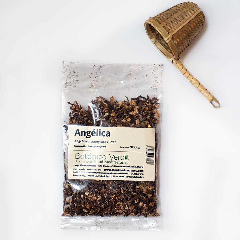 Angélica en raíz. Planta en bolsa - 100 gr. Botánica Verde
