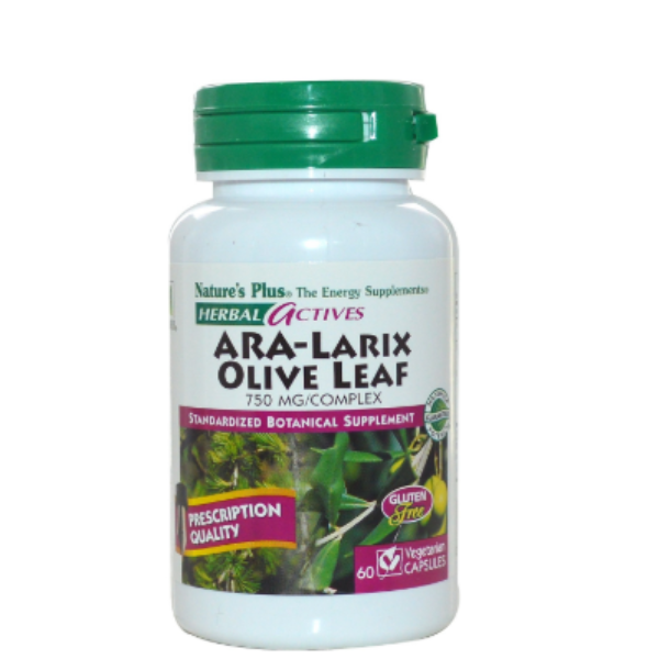 Combinado herbal de extracto de alerce y hoja de olivo con un perfil único de fitonutrientes, especialmente indicado para la época de invierno