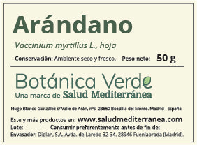 Arándano. Planta en bolsa - 50 gr. Botánica Verde