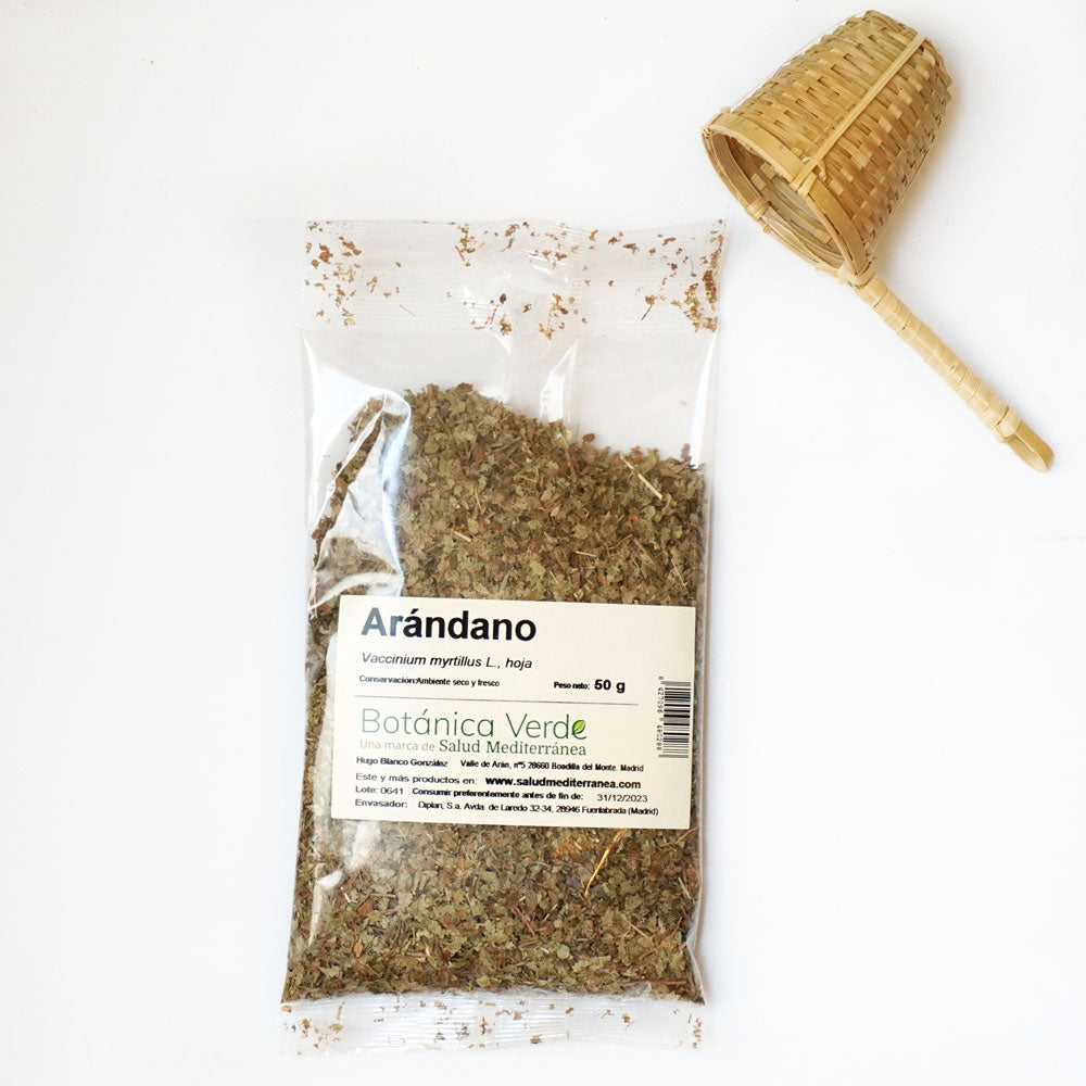 Arándano. Planta en bolsa - 50 gr. Botánica Verde