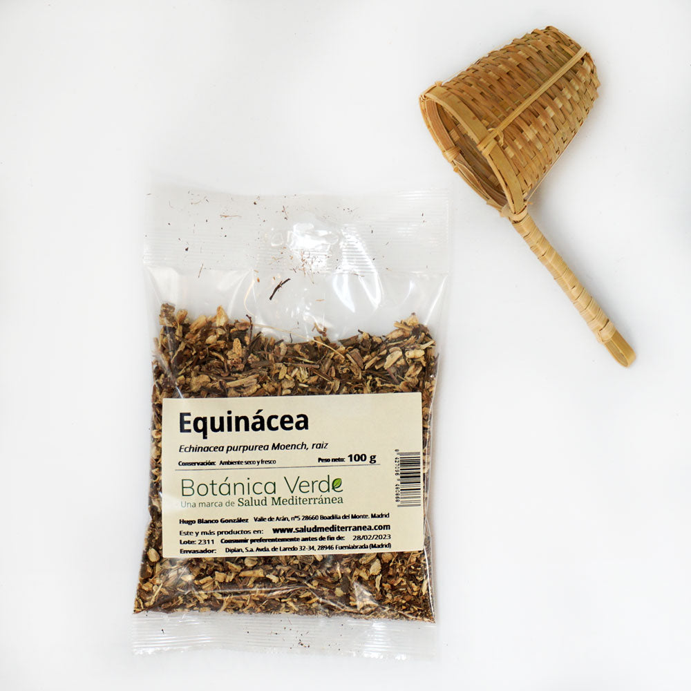 Equinácea. Planta en bolsa - 100 gr. Botánica Verde