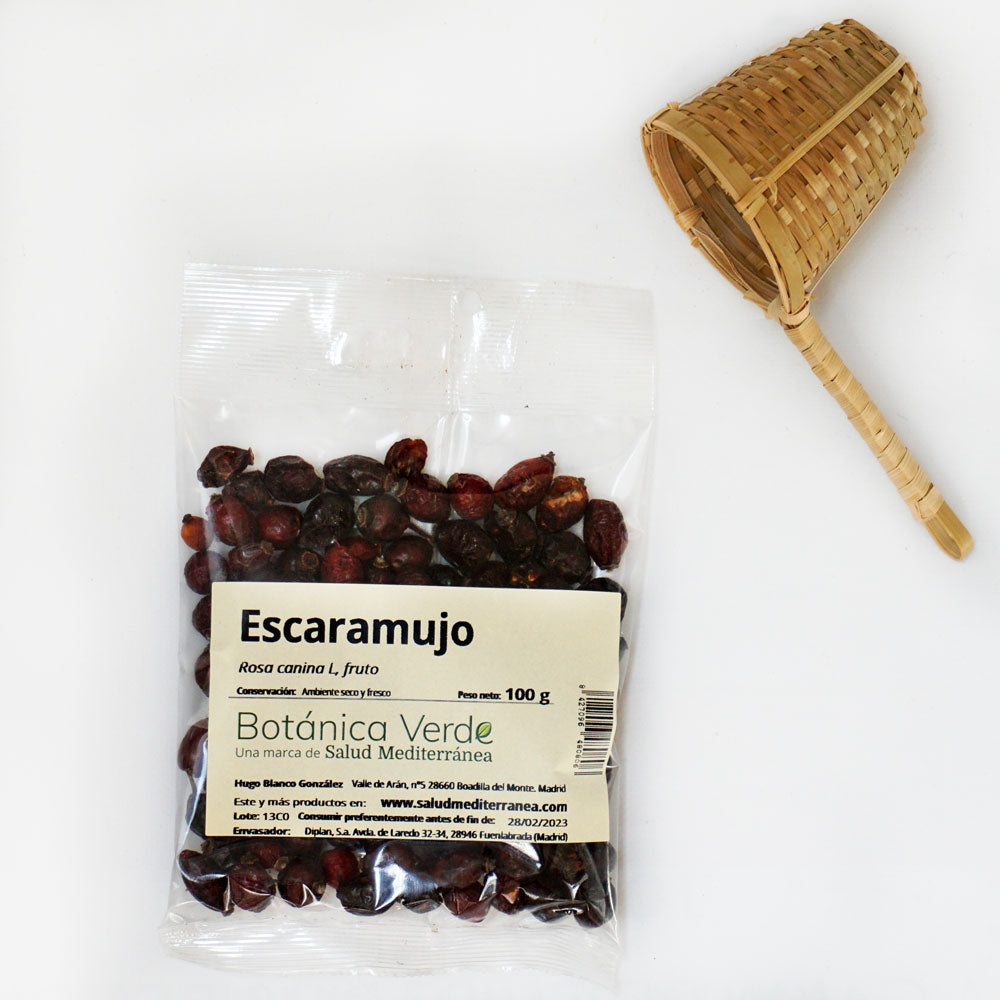 Escaramujo en fruto. Planta en bolsa - 100 gr. Botánica Verde
