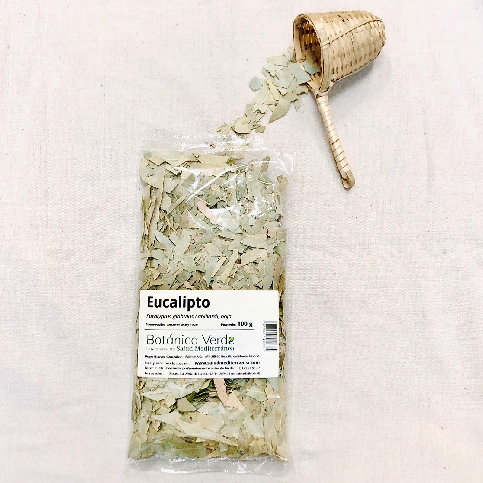 Eucalipto en hoja. Planta en bolsa - 100 gr. Botánica Verde