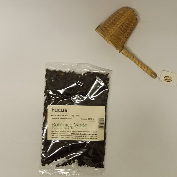 Alga Fucus. Planta en bolsa - 100 gr. Botánica Verde