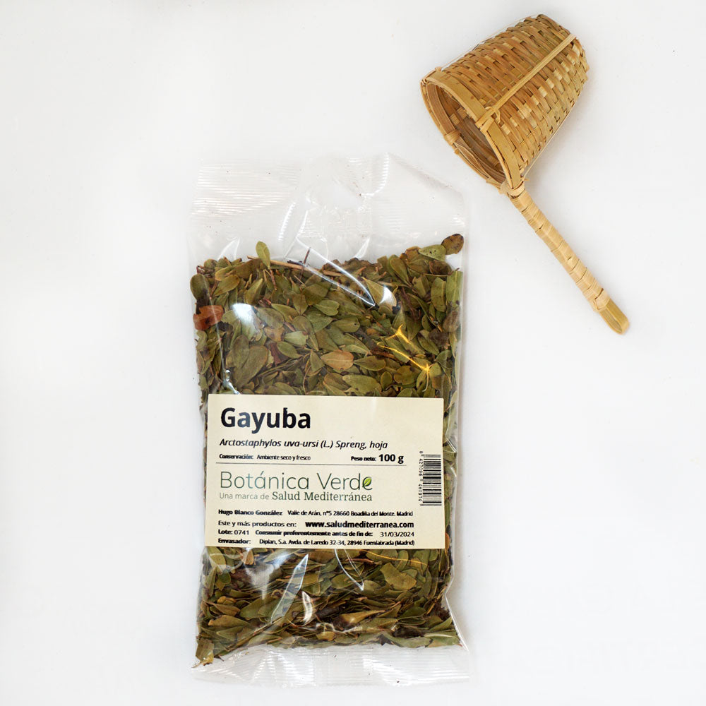 Gayuba Hoja. Planta en bolsa - 100 gr. Botánica Verde