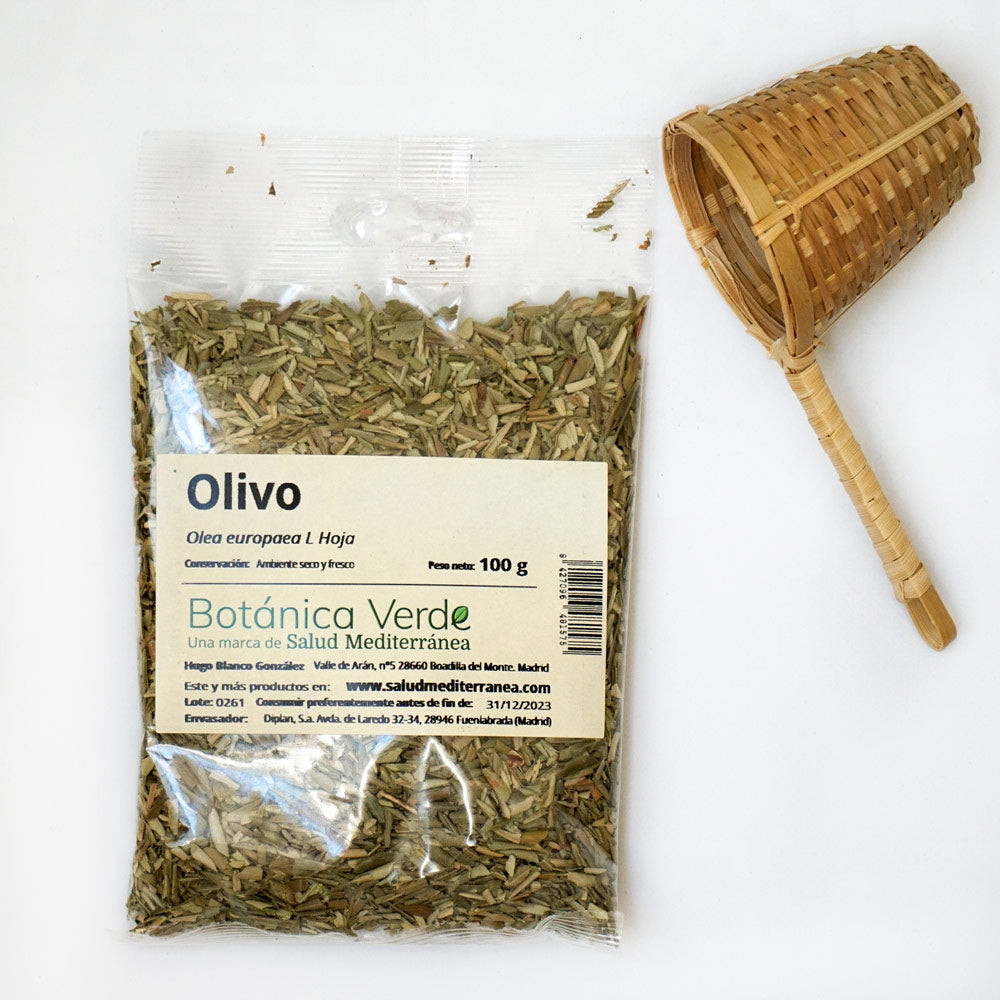 Olivo en hoja. Planta en bolsa - 100 gr. Botánica Verde