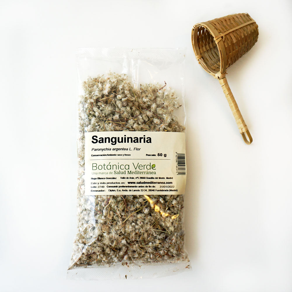 Sanguinaria en flor. Plantas en bolsa - 50 gr. Botánica Verde
