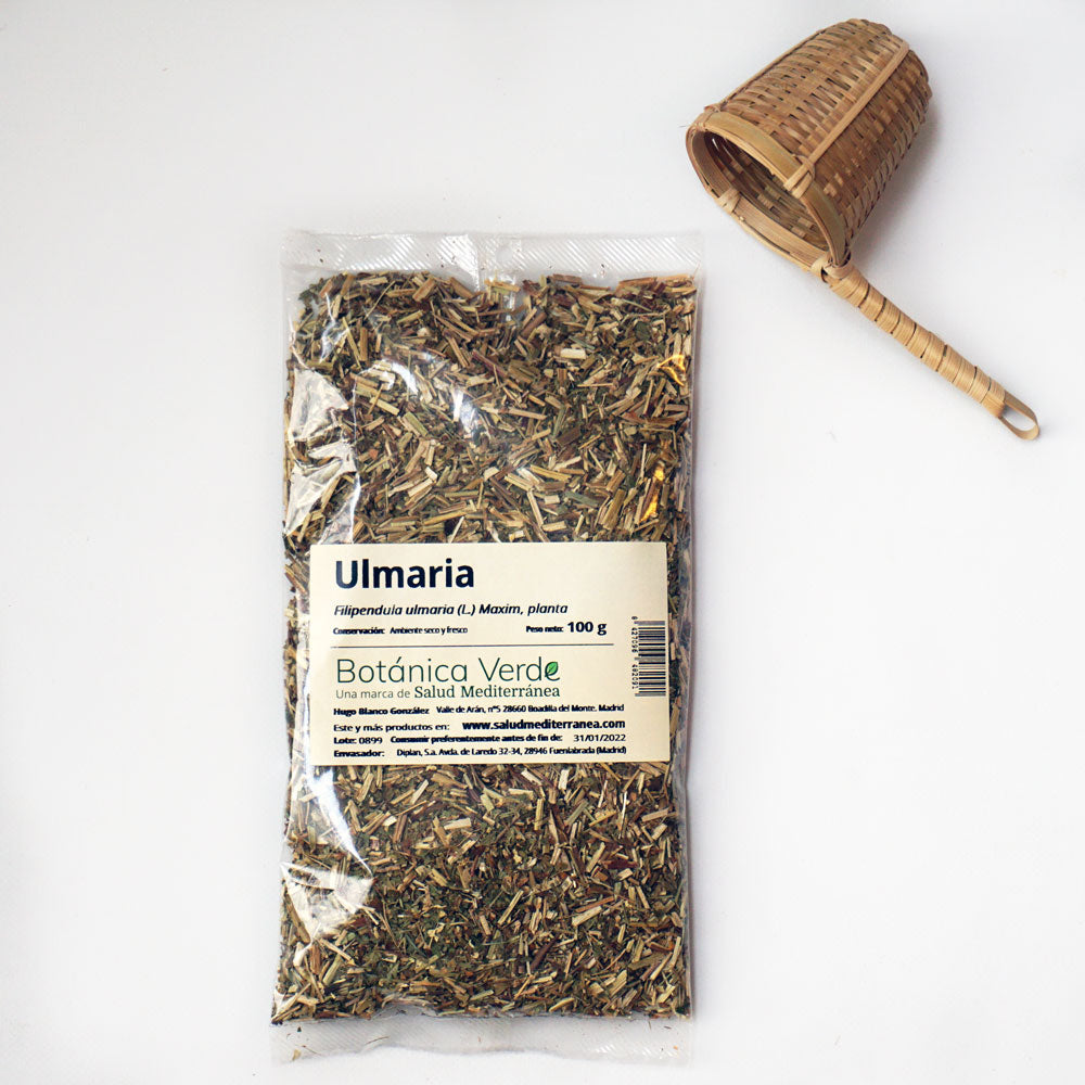 Ulmaria. Planta en bolsa - 100 gr. Botánica Verde