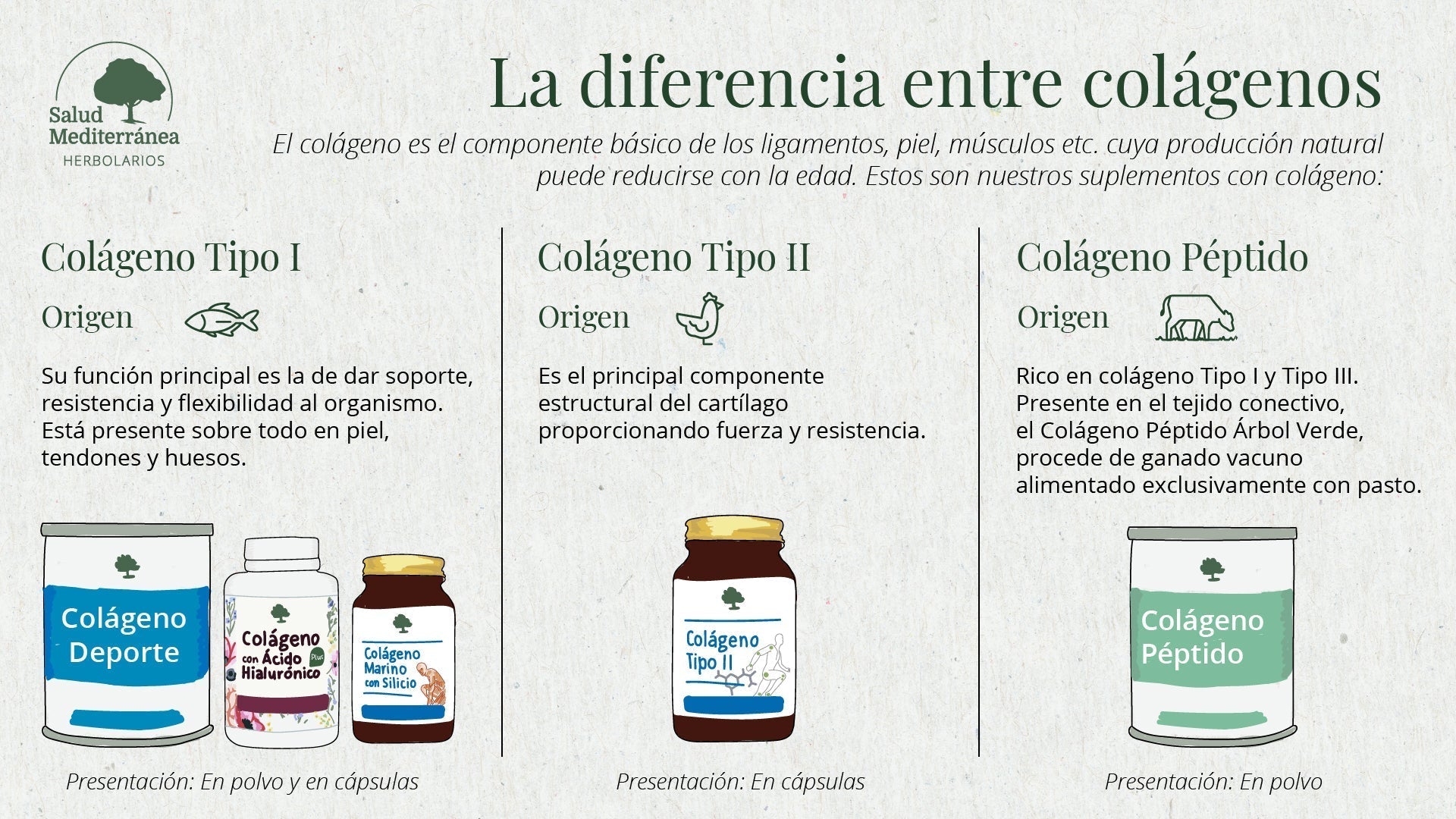Cuál es la diferencia entre colágenos