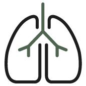 Bienestar respiratorio y Alergias