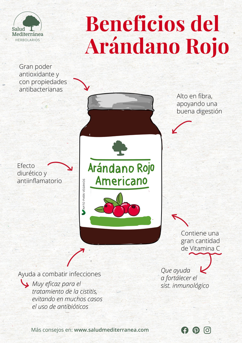 Infografico Arándano Rojo Americano - 60 Cápsulas. Árbol Verde. Herbolario Salud Mediterránea
