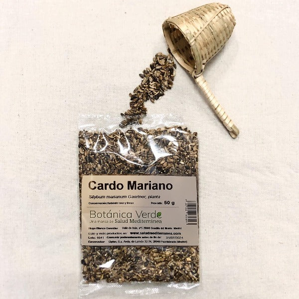 cardo mariano en hoja