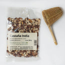 Castaño de Indias en fruto. Plantas en bolsa - 100 gr. Botánica Verde