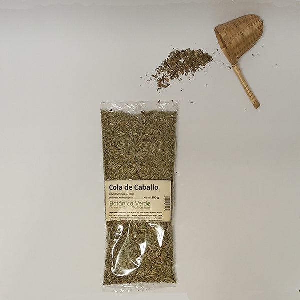 Cola de Caballo en tallo, Botánica Verde