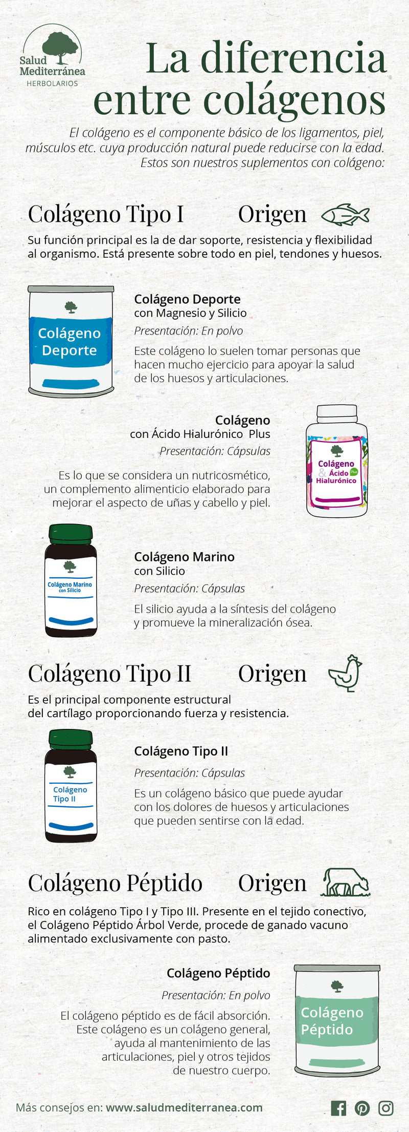 Diferencias entre los colagenos de Arbol Verde. Herbolario Salud Mediterranea