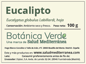 Eucalipto en hoja. Planta en bolsa - 100 gr. Botánica Verde
