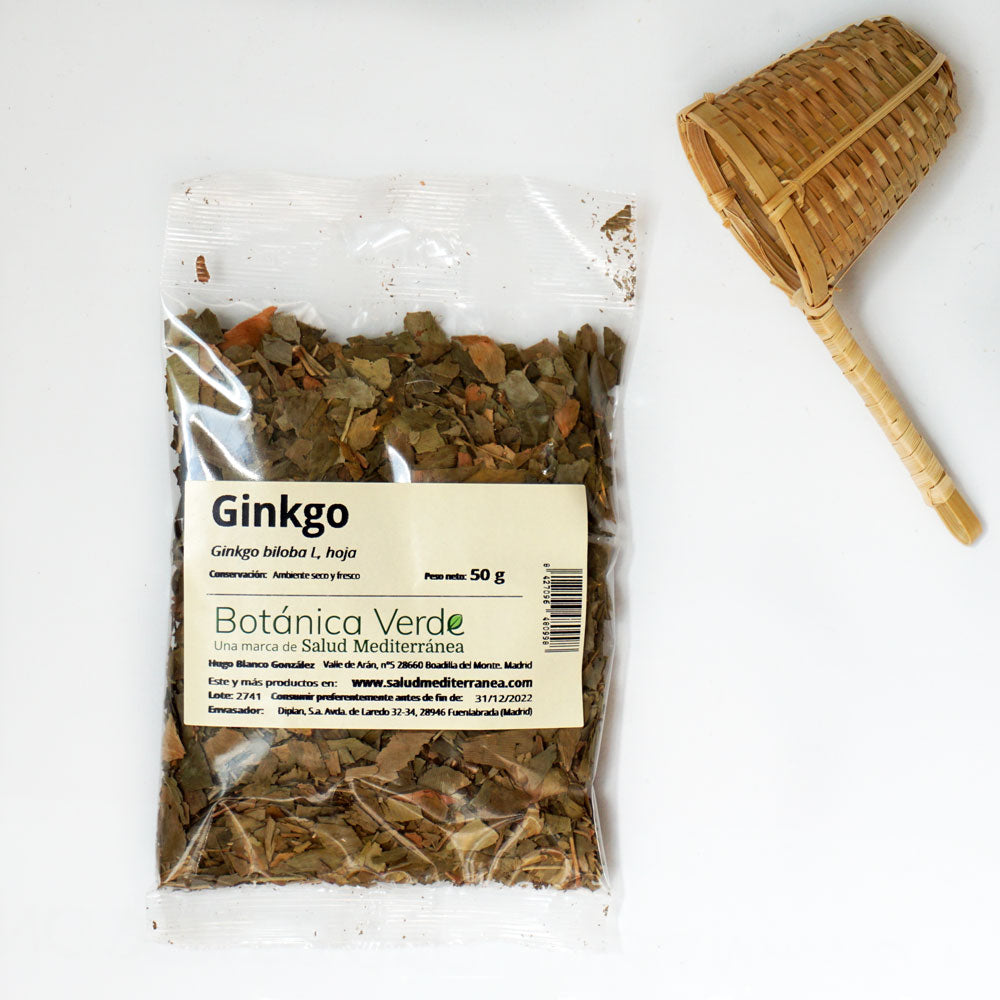 Ginko en hoja. Planta en bolsa - 50 gr. Botánica Verde