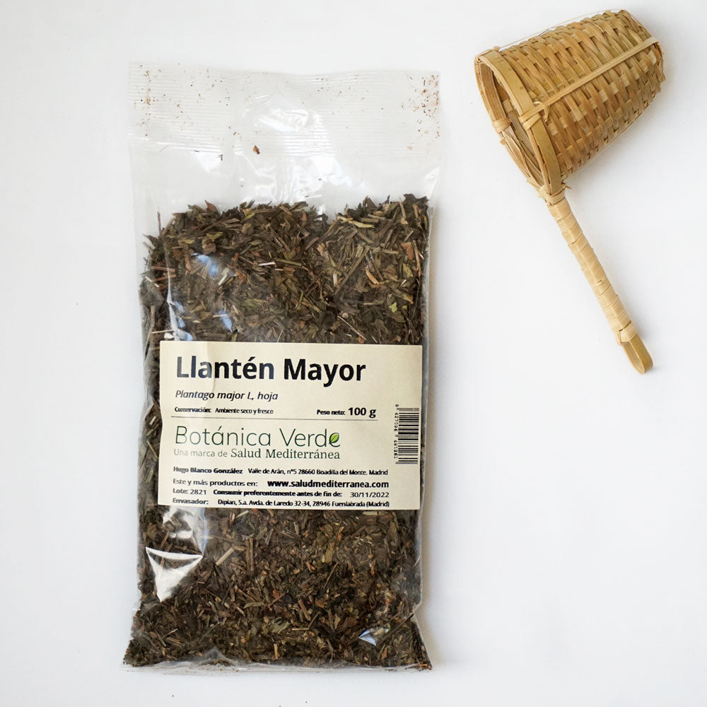 Llantén en hoja. Planta en bolsa - 100 gr. Botánica Verde