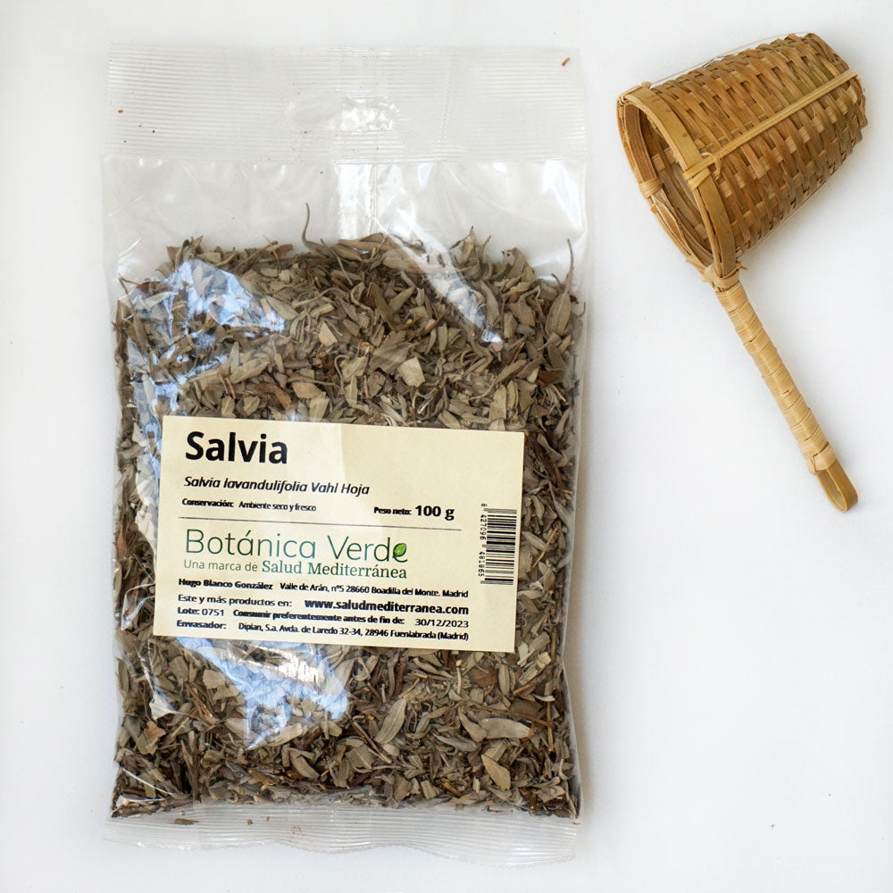 Salvia. Planta en bolsa - 100 gr. Botánica Verde
