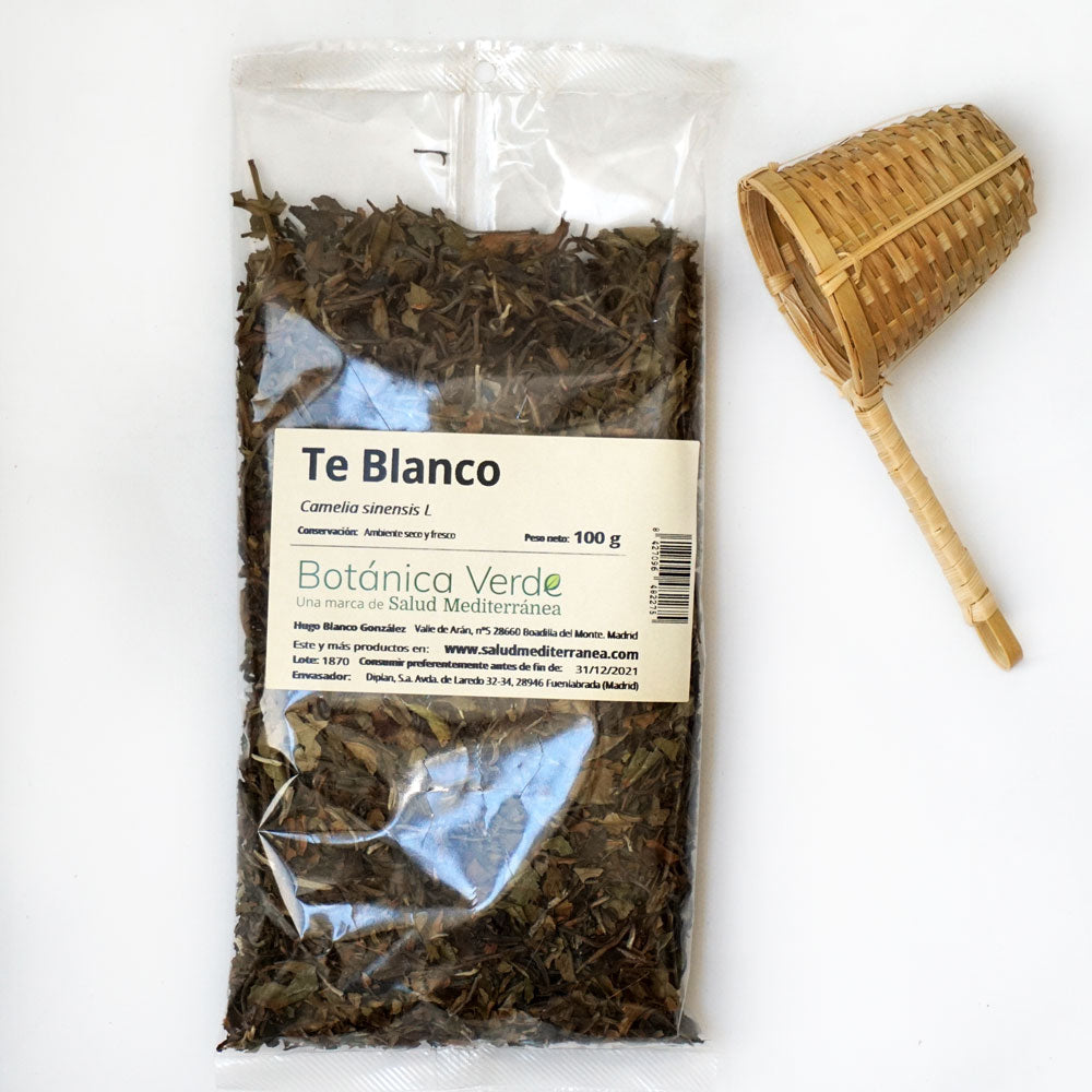 Té Blanco. Planta en bolsa - 100 gr. Botánica Verde