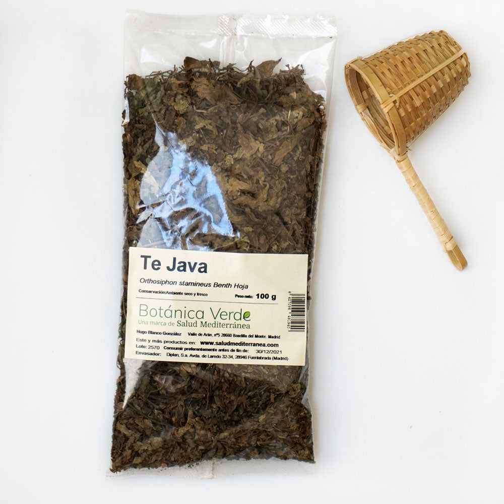 Té Java. Planta en bolsa - 100 gr. Botánica Verde