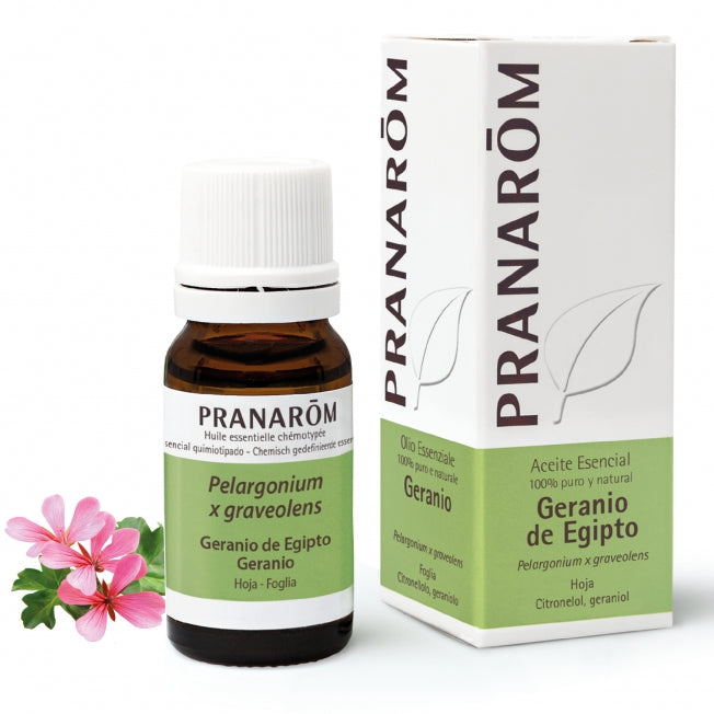 Aceite Esencial Geranio de Egipto - 10 ml. Pranarom